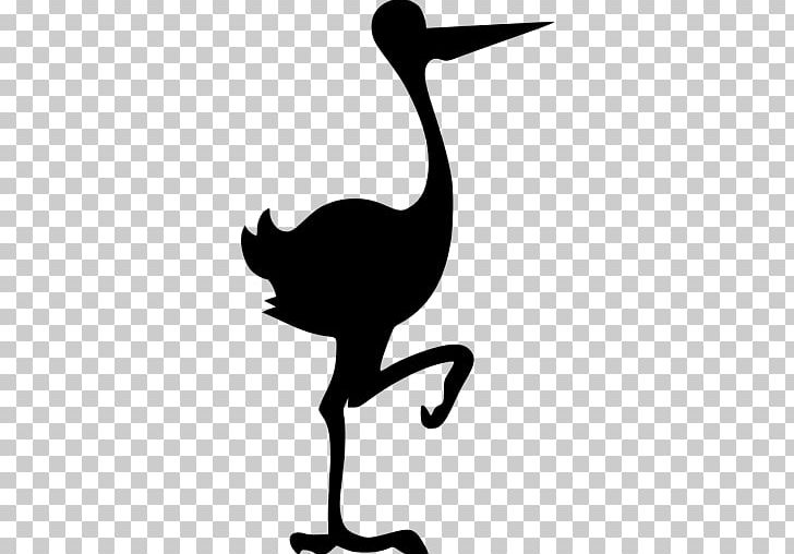 White Stork Bird Black Stork PNG, Clipart, Animals, Artwork, Beak, Bird, Black And White Free PNG Download