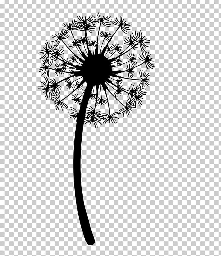 Drawing Graphics The Dandelion PNG, Clipart, Art, Black And White, Cartoon, Circle, Common Dandelion Free PNG Download