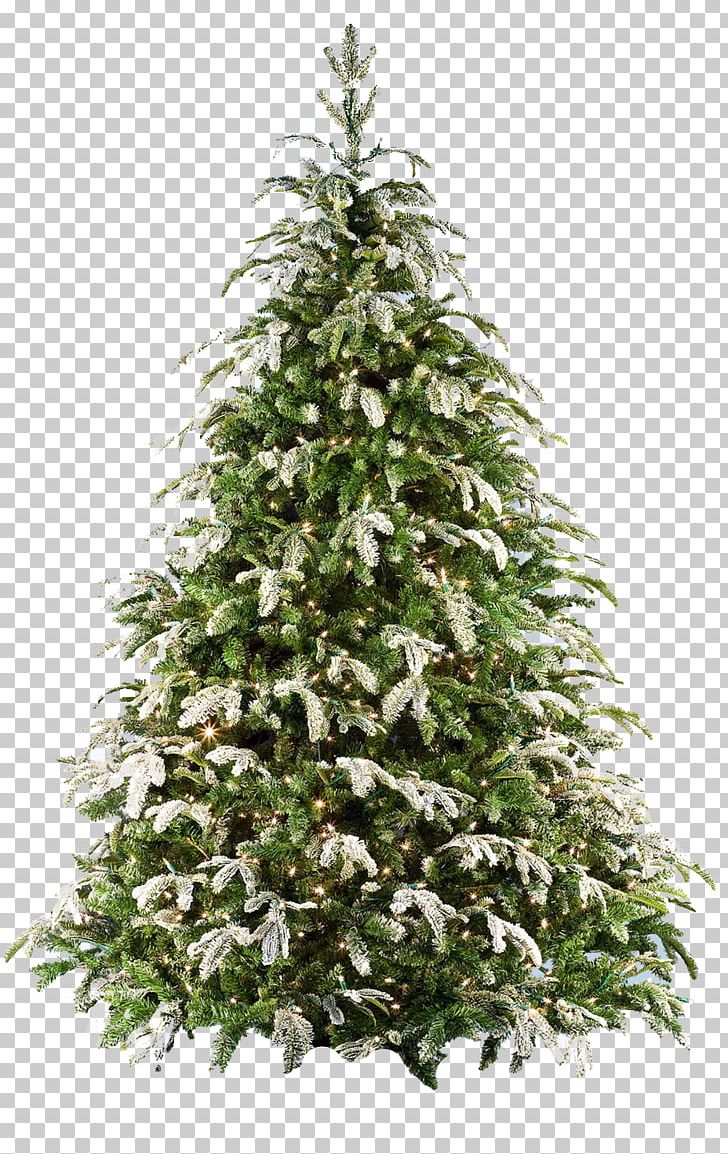 Fraser Fir Artificial Christmas Tree PNG, Clipart, Artificial Christmas Tree, Balsam Hill, Christmas, Christmas Decoration, Christmas Ornament Free PNG Download