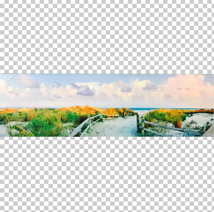 Island Art Panoramic Photography Panorama Work Of Art PNG, Clipart, Art, Bed, Couch, Ecoregion, Ecosystem Free PNG Download