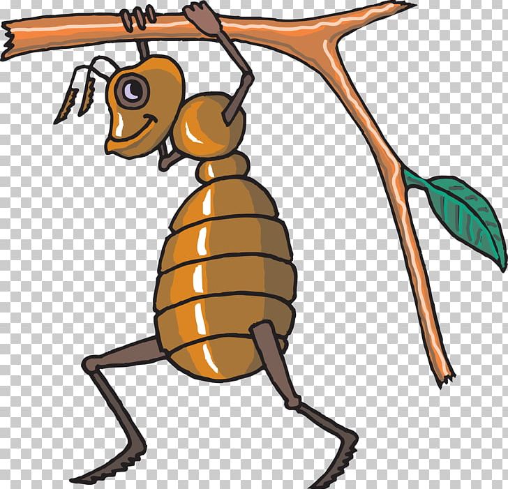 Honey Bee Hornet PNG, Clipart, Ants, Arthropod, Artwork, Bee, Beehive Free PNG Download