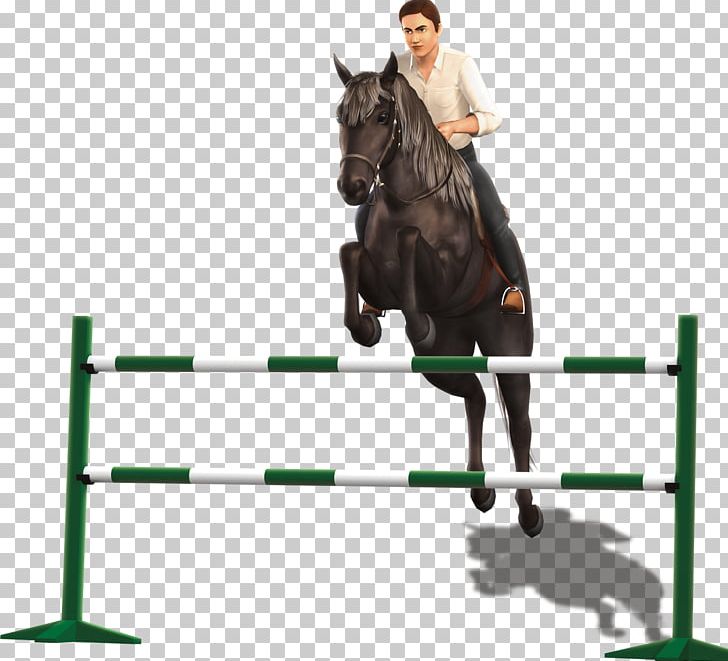 Show Jumping The Sims 3: Pets Horse Hunt Seat Stallion PNG, Clipart, Animal Sports, Bit, Bridle, English Riding, Equestrian Free PNG Download