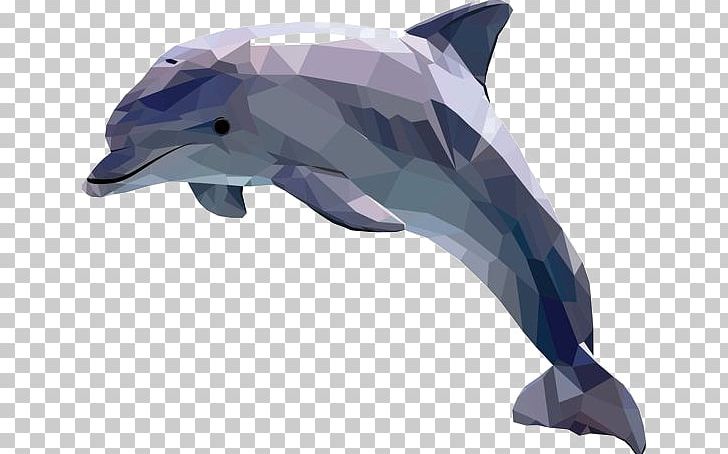 Dolphin Art Illustrator Illustration PNG, Clipart, Animal, Animals, Art, Cartoon Character, Cartoon Eyes Free PNG Download
