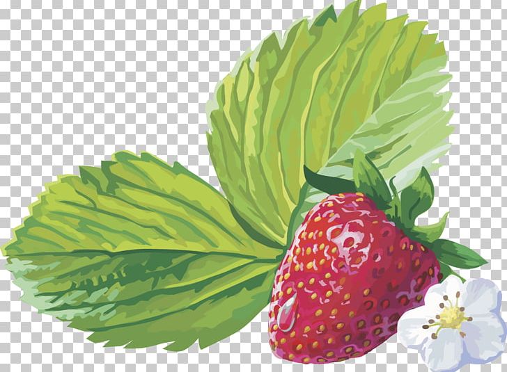 Musk Strawberry Amorodo PNG, Clipart, Blueberry, Cherry, Food, Fruit, Fruit Nut Free PNG Download