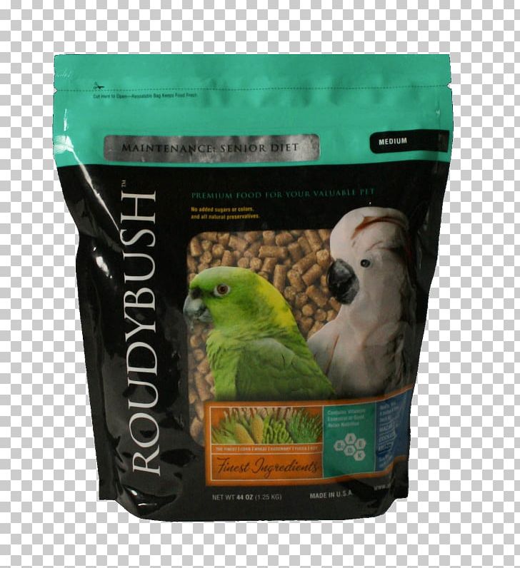 Bird Food Parrot Dieting PNG, Clipart, Animals, Avian Veterinarian, Bird, Bird Food, Bird Supply Free PNG Download
