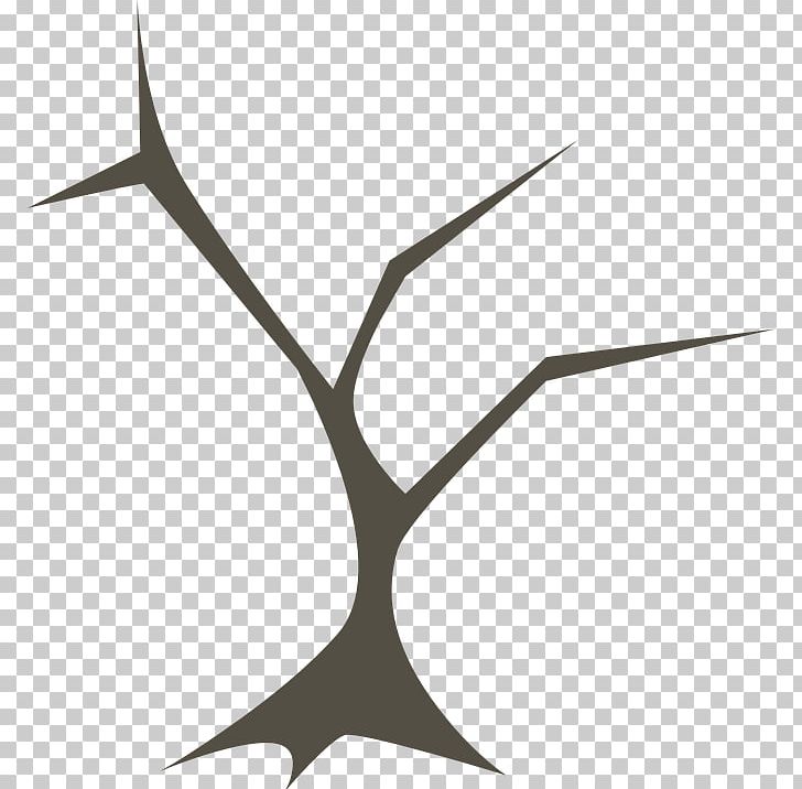 Branching Tree Forest Release Management PNG, Clipart, Apache Subversion, Bark, Black And White, Branch, Branching Free PNG Download