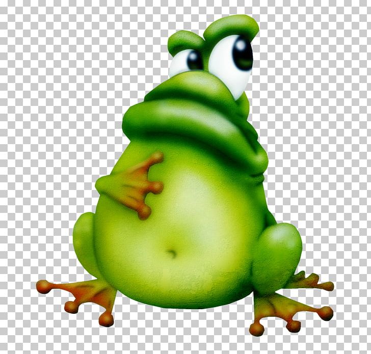 Toad Tree Frog True Frog PNG, Clipart, Alphabet, Amphibian, Animals, Diary, Food Free PNG Download