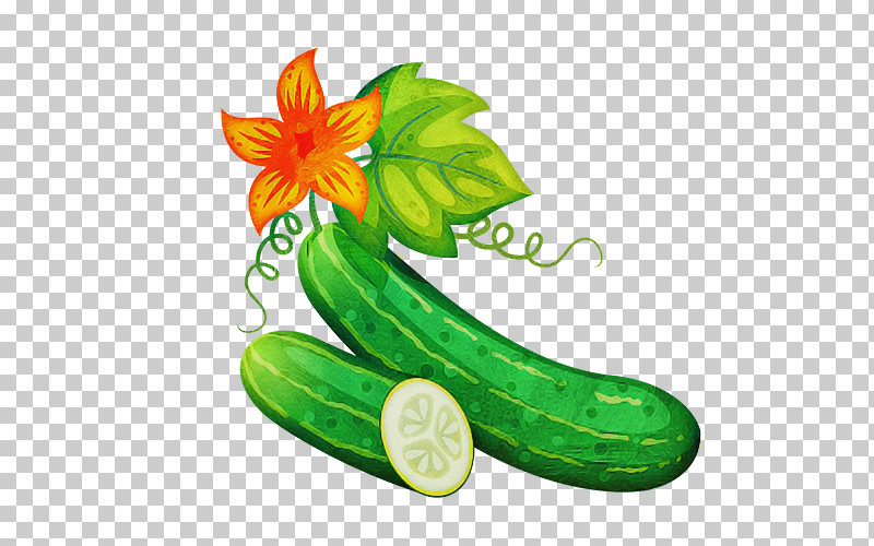Green Cucumber Cucumis Plant Cucumber, Gourd, And Melon Family PNG, Clipart, Cucumber, Cucumber Gourd And Melon Family, Cucumis, Flower, Green Free PNG Download