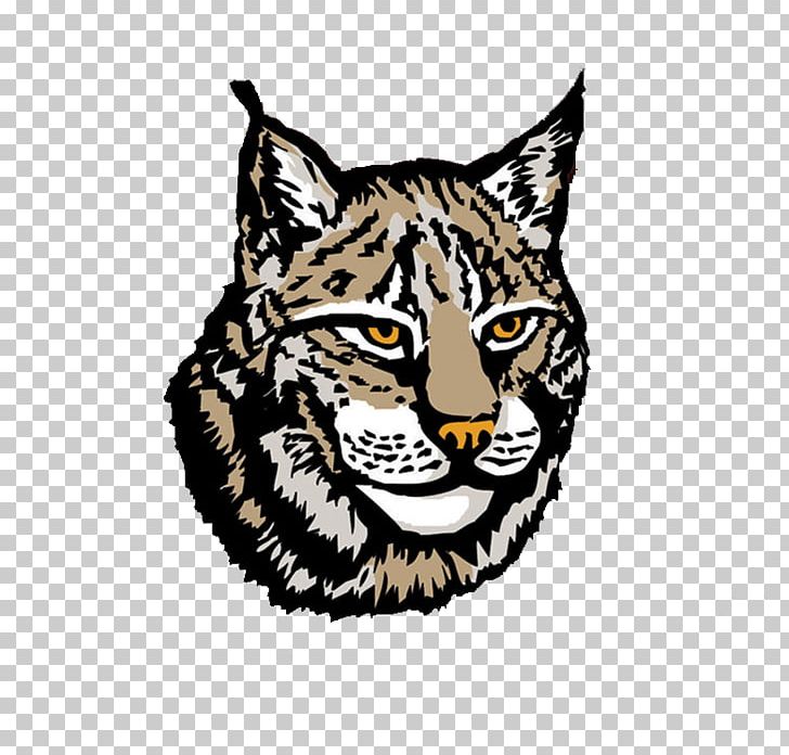 Canada Lynx PNG, Clipart, Bbcode, Big Cats, Bobcat, Canada Lynx, Carnivoran Free PNG Download