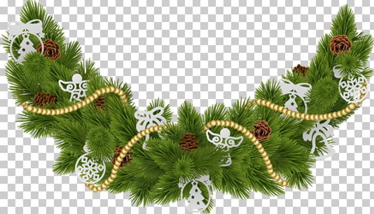 Fir Christmas Ornament Spruce Christmas Tree Pine PNG, Clipart, Branch, Branching, Christmas, Christmas Decoration, Christmas Ornament Free PNG Download