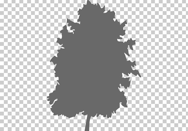 Tree Computer Icons Desktop Black PNG, Clipart, Actual, Black, Black And White, Black M, Circle Free PNG Download