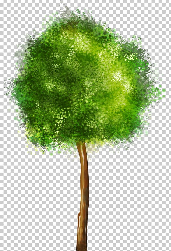 Tree Drawing PNG, Clipart, Arbre Dalignement, Art, Branch, Clip Art, Collage Free PNG Download