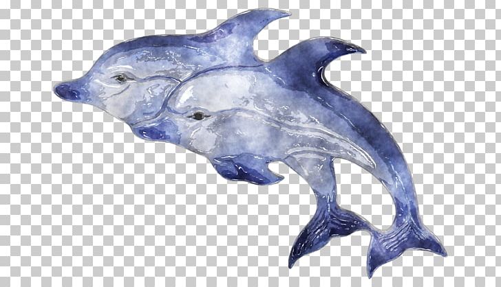 Common Bottlenose Dolphin Tucuxi Rough-toothed Dolphin Watercolor Painting PNG, Clipart, Animal, Animals, Bottlenose Dolphin, Common Bottlenose Dolphin, Deviantart Free PNG Download
