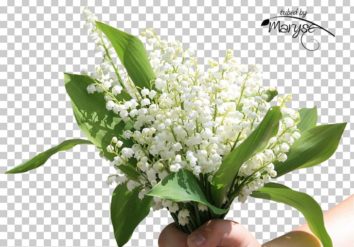 Flower Bouquet Lily Of The Valley Floral Design Cut Flowers PNG, Clipart, Blog, Cut Flowers, Floral Design, Floristry, Flower Free PNG Download