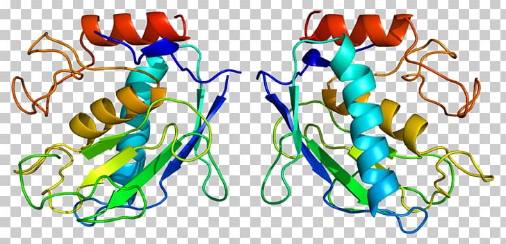 MMP7 Matrix Metalloproteinase Stromelysin 1 PNG, Clipart, Calcium, Ion, Line, Matrix Metalloproteinase, Metalloproteinase Free PNG Download