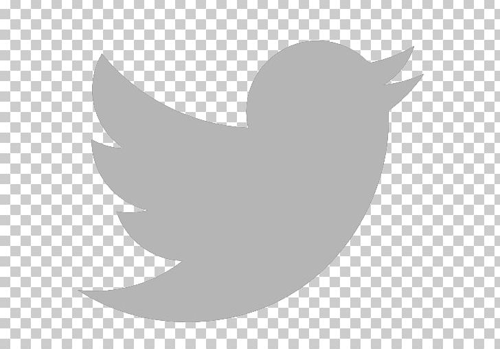 Social Media Computer Icons Logo PNG, Clipart, Advertising, Angle, Beak, Bird, Black Free PNG Download