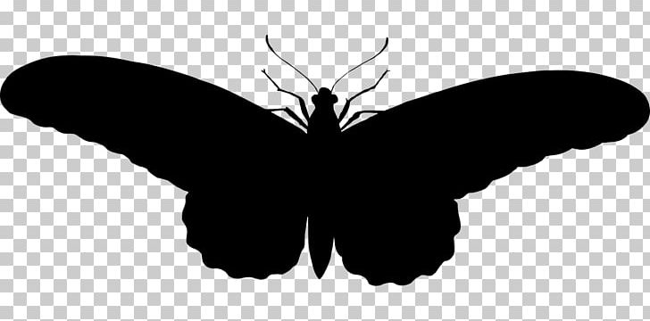 Stencil Drawing Painting Mural PNG, Clipart, Art, Arthropod, Black, Black And White, Brush Footed Butterfly Free PNG Download