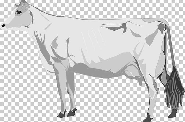 Cattle Lumpy Skin Disease PNG, Clipart, Animal Figure, Animals, Black And White, Cattle, Cattle Like Mammal Free PNG Download