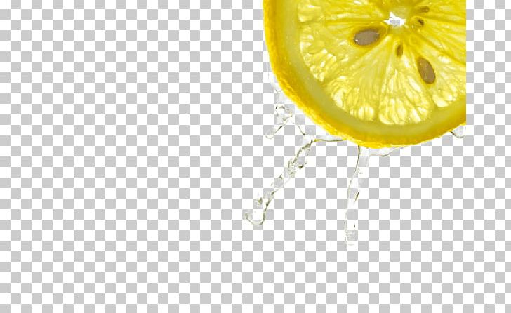 Lemon Hair Fuller's Earth Fashion Cleaning PNG, Clipart,  Free PNG Download