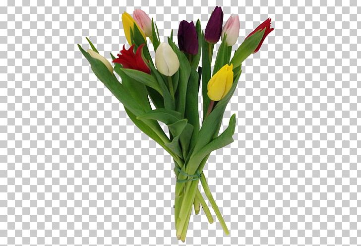 Tulip Cut Flowers Flower Bouquet Floristry PNG, Clipart, Color, Cut Flowers, Floral Design, Floristry, Flower Free PNG Download