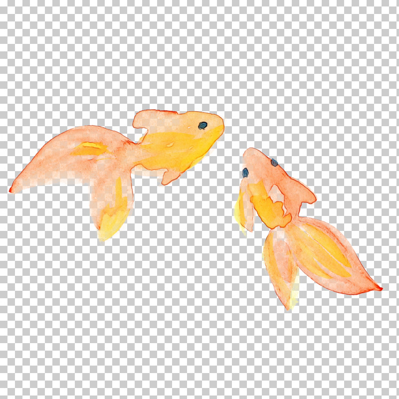 Orange PNG, Clipart, Animal Figure, Goldfish, Orange, Paint, Watercolor Free PNG Download