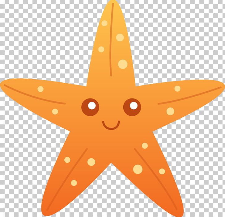 A Sea Star Starfish Cuteness Free Content PNG, Clipart, Blog, Cartoon, Cuteness, Drawing, Echinoderm Free PNG Download