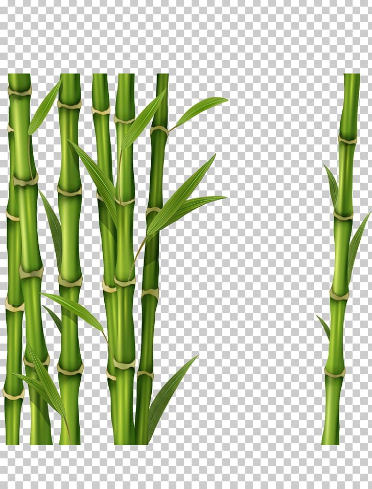 Bamboo PNG, Clipart, Bamboo, Bamboo Charcoal, Bamboo Textile, Clip Art, Commodity Free PNG Download