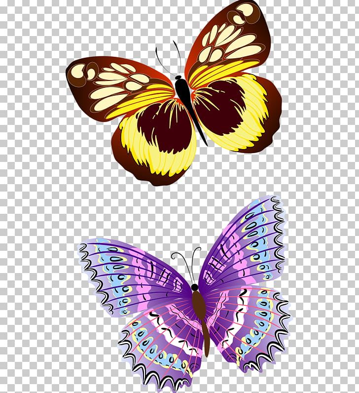 Butterfly Insect PNG, Clipart, Aglais Io, Animal, Arthropod, Brush Footed Butterfly, Butterflies And Moths Free PNG Download