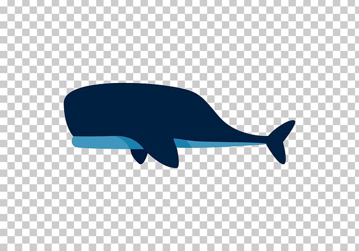 Common Bottlenose Dolphin Cetacea Sperm Whale Balaenidae PNG, Clipart, Animal, Baleen Whale, Blue Whale, Cetacea, Common Bottlenose Dolphin Free PNG Download