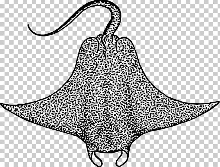 Devil Fish Batoidea PNG, Clipart, Animals, Artwork, Batoidea, Black And White, Clothing Free PNG Download