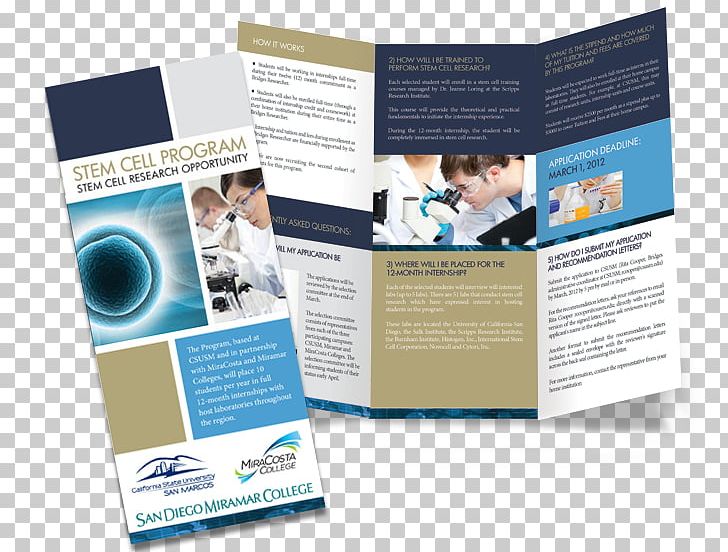 Graphic Design Vista San Marcos PNG, Clipart, Advertising, Art, Brand, Brochure, Career Portfolio Free PNG Download
