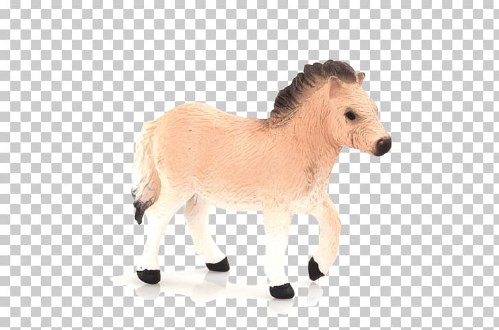Shetland Pony Foal Appaloosa Mustang PNG, Clipart, Animal, Animal Figure, Animal Planet, Appaloosa, Equus Free PNG Download