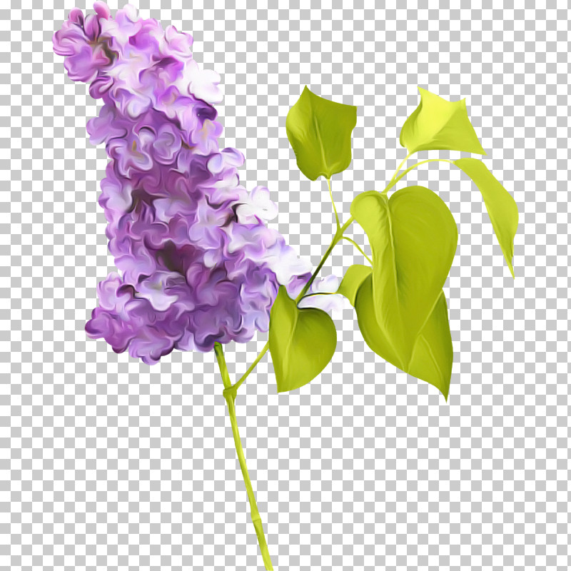 Artificial Flower PNG, Clipart, Artificial Flower, Cornales, Cut Flowers, Flower, Hydrangea Free PNG Download
