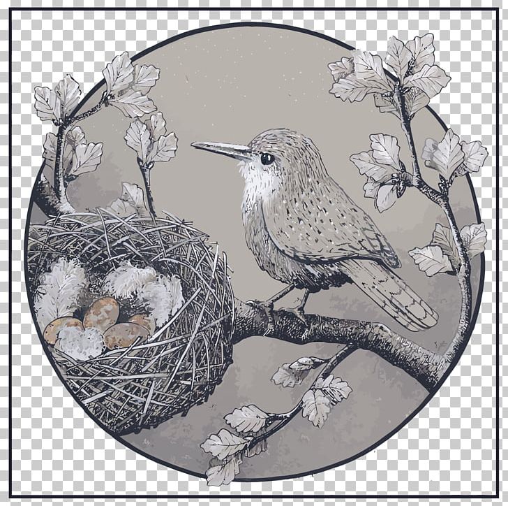 Bird Drawing Illustration PNG, Clipart, Animals, Bird, Bird Cage, Birds Nest, Bird Vector Free PNG Download