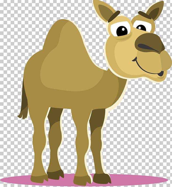 Camel Cartoon PNG, Clipart, Animal, Animals, Arabian Camel, Bactrian Camel, Came Free PNG Download