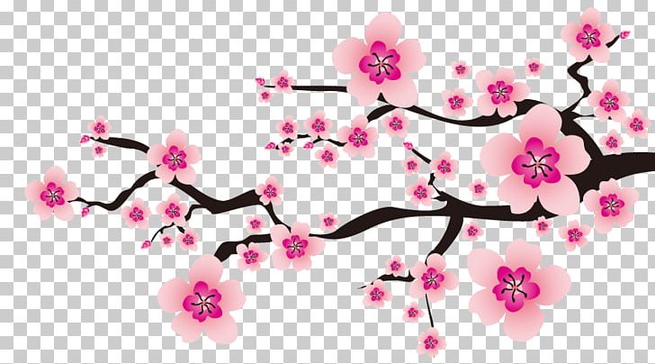 Flower Plum Blossom PNG, Clipart, Blossom, Blossoms, Blossoms Vector, Branch, Cherry Free PNG Download