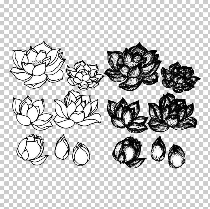 Lotus Cars Drawing Croquis Sketch PNG, Clipart, Architectural Drawing, Artwork, Black, Black And White, Circle Free PNG Download