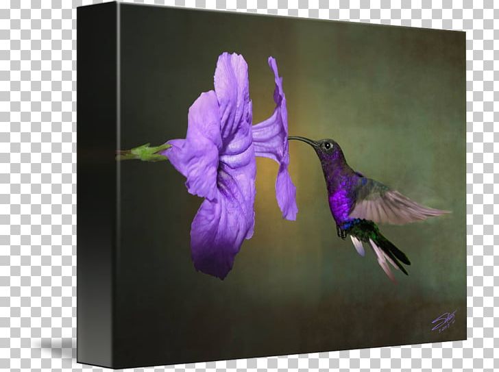 Hummingbird Canvas Print Work Of Art PNG, Clipart, Art, Bird, Canvas, Canvas Print, Discover Card Free PNG Download
