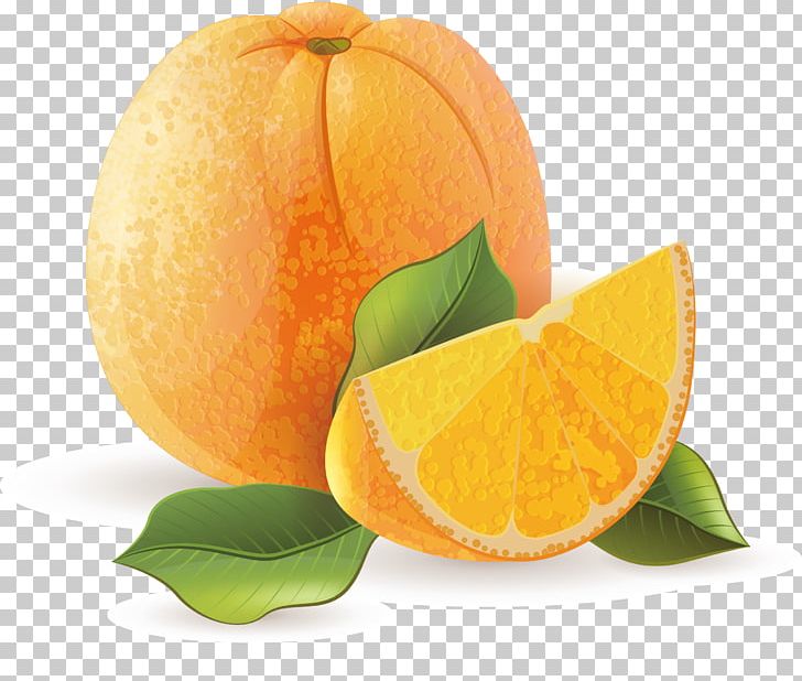 Orange Juice Tangerine Mandarin Orange PNG, Clipart, Art, Christmas Decoration, Citrus, Decoration Design, Decorative Free PNG Download