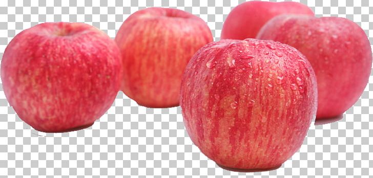 Apple Fruit Auglis PNG, Clipart, Apple, Apple Fruit, Apple Icon, Apple Logo, Apples Free PNG Download