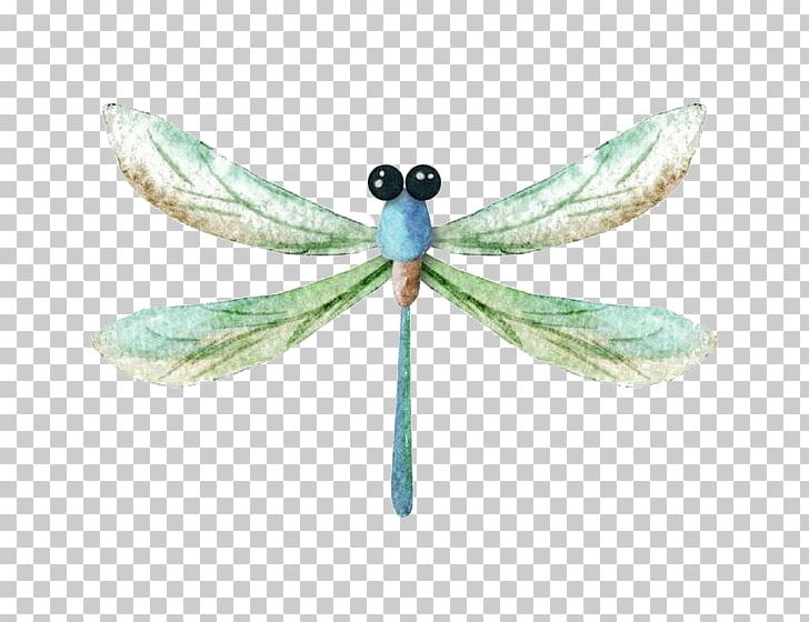 Dragonfly Watercolor Painting Icon PNG, Clipart, Arthropod, Deductible, Encapsulated Postscript, Hand, Insects Free PNG Download