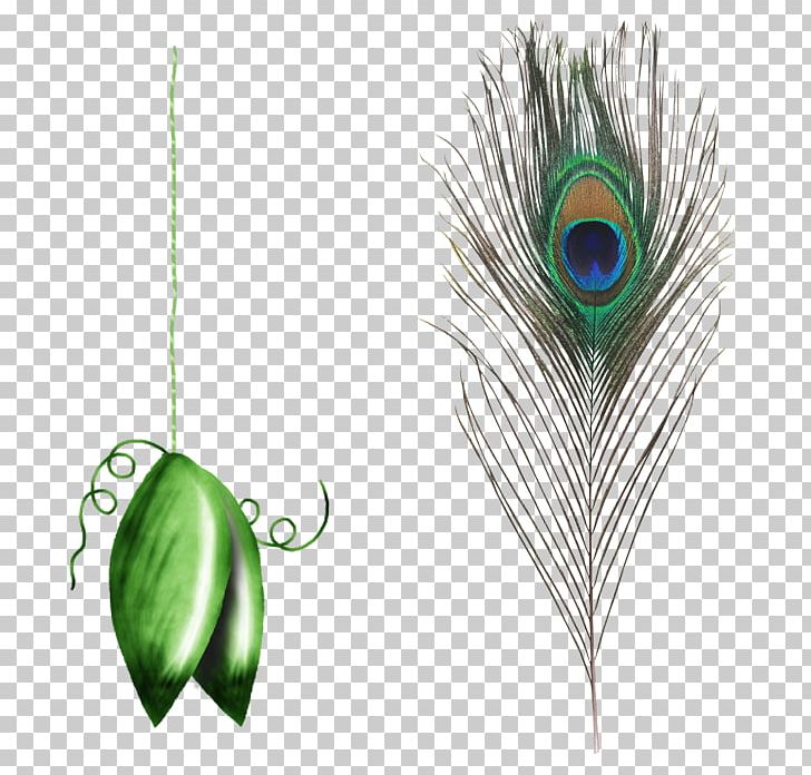 Feather Peafowl Eyespot Simple Eye In Invertebrates PNG, Clipart, Animals, Asiatic Peafowl, Biological Pigment, Color, Decoration Free PNG Download