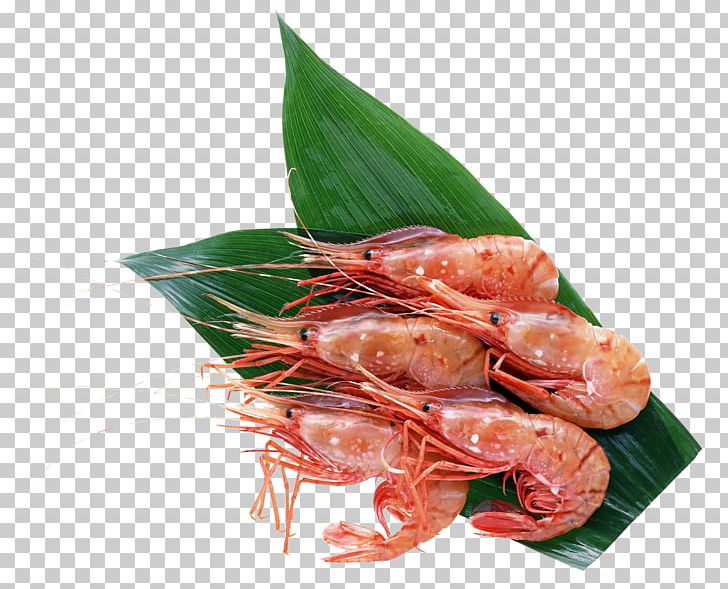 Hokkaido Sushi Seafood Crab Sashimi PNG, Clipart, Animals, Animal Source Foods, Botan Shrimp, Caridean Shrimp, Cartoon Shrimp Free PNG Download