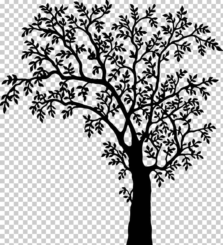 Swing Draw Trees Child PNG, Clipart, Black And White, Boy, Branch, Child, Clip Art Free PNG Download