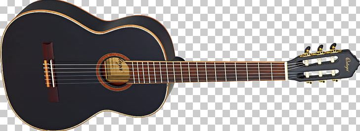 Twelve-string Guitar Acoustic-electric Guitar Acoustic Guitar PNG, Clipart, Acoustic Electric Guitar, Amancio Ortega, Classical Guitar, Cutaway, Guitar Accessory Free PNG Download