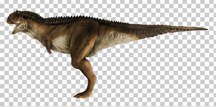 Tyrannosaurus Carnotaurus Kulindadromeus Spinosaurus Pachycephalosaurus PNG, Clipart, Animal Figure, Apatosaurus, Carnotaurus, Deinonychus, Dinosaur Free PNG Download