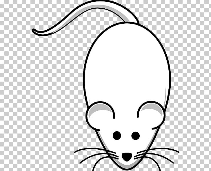 Laboratory Rat Mouse Black Rat Drawing PNG, Clipart, Animals, Art, Artwork, Black, Black And White Free PNG Download
