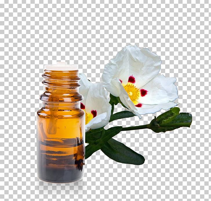 Lotion Essential Oil Neroli Perfume PNG, Clipart, Argan Oil, Aroma Compound, Aromatherapy, Cananga Odorata, Clary Free PNG Download