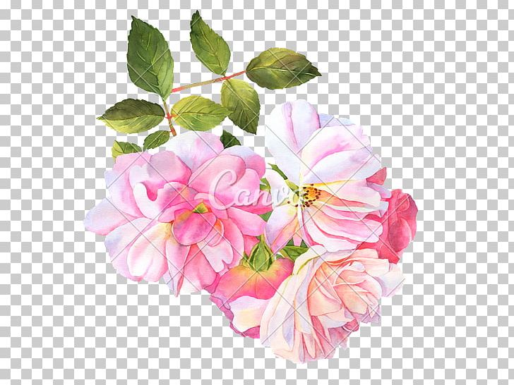 Watercolour Flowers Watercolor Painting Rose PNG, Clipart, Art, Artificial Flower, Blossom, Cut Flowers, Drawing Free PNG Download