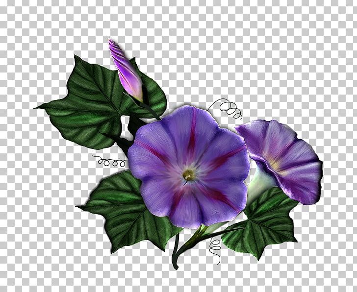 Blog PNG, Clipart, Akhir Pekan, Annual Plant, Blog, Datura, Flower Free PNG Download